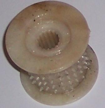 CR55